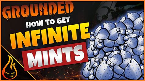 Mints grounded. Things To Know About Mints grounded. 